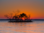 Everglades National Park