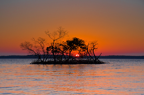 Everglades National Park