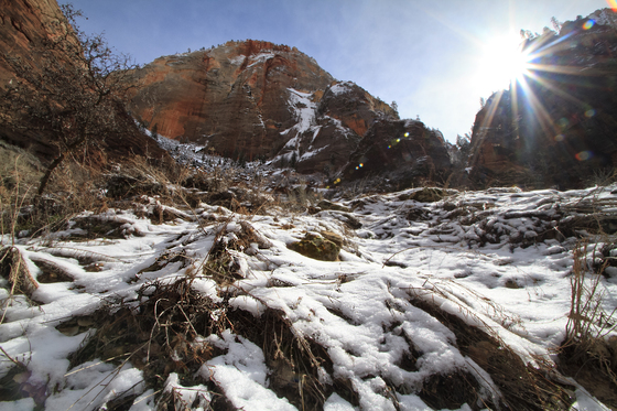Zion National Park