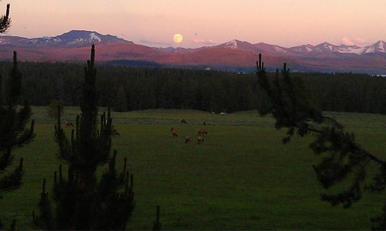 Yellowstone National Park
