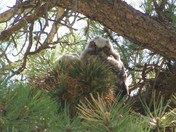 Rocky Mountain National Park