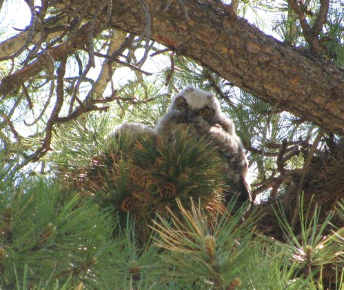 Rocky Mountain National Park