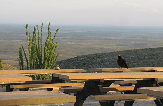 Carlsbad Caverns National Park