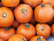 just pumpkins