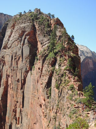 Zion National Park