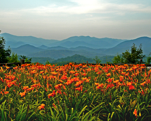 Great Smokey Mountains National Park