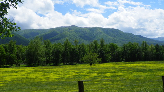 Great Smoky Mountains