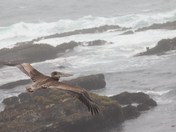 Stoinetta Public Lands