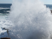 Acadia National Park