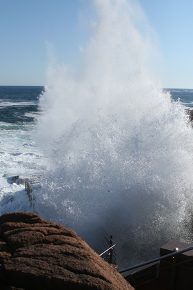 Acadia National Park
