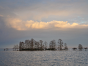 Mattamuskeet National Wildlife Refuge