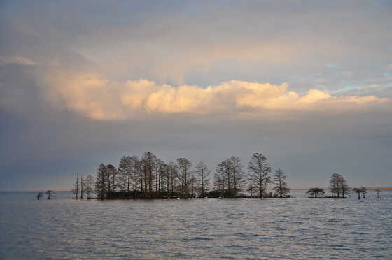 Mattamuskeet National Wildlife Refuge