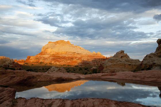 South Coyote Buttes / White Pockets area