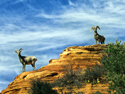 Zion National Park UT