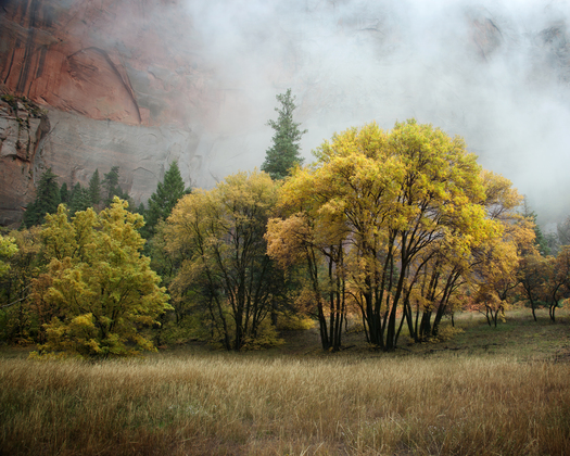 Zion National Park