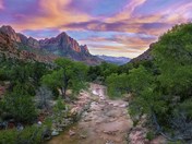 Zion National Park UT