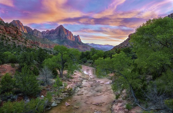 Zion National Park UT
