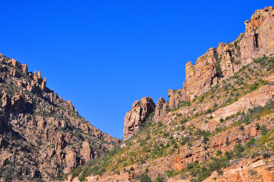 Mt. Lemmon National Park