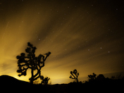 Joshua Tree National Park