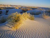 White Sands
