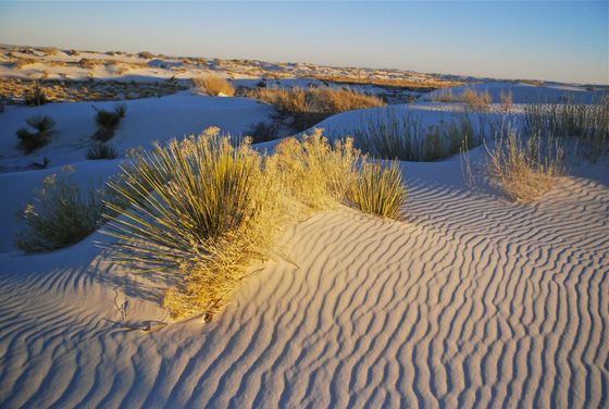White Sands