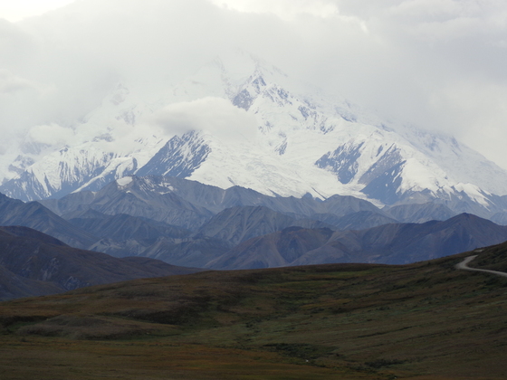Denali National Park