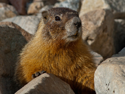 Great Basin National Park