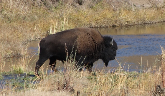 Rio Mora NWR