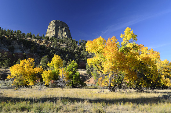 Devils Tower