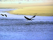 Driftwood Camp ground