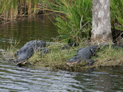 Everglades National Park