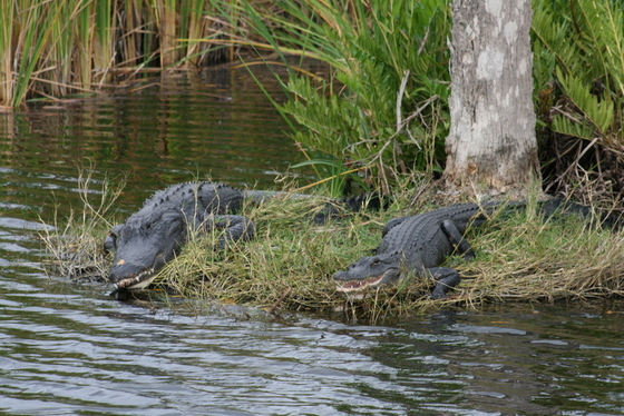 Everglades National Park