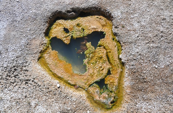 Yellowstone N at Park