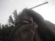 Standing In The Mist