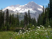 Mount Rainier
