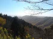 The Great Smokey Mountains