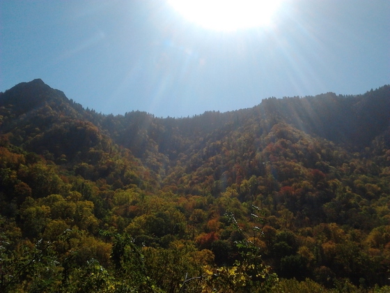 The Smokey Mountains