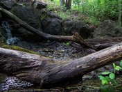 Cow Creek Recreation Area, Oregon