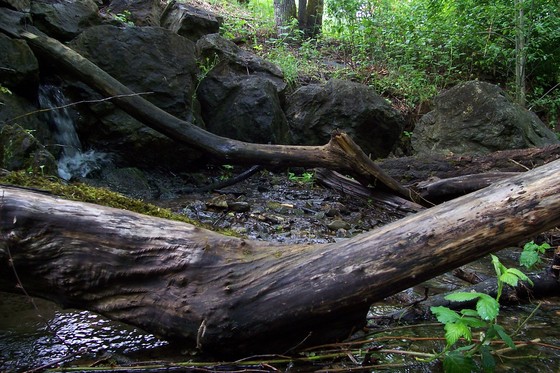 Cow Creek Recreation Area, Oregon