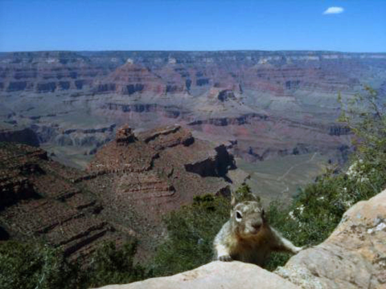 Grand Canyon