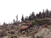 Rocky Mountain National Park