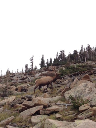 Rocky Mountain National Park