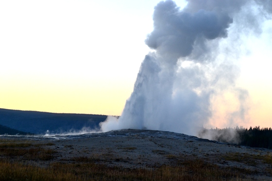 Yellowstone national park 