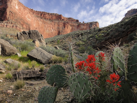 Grand Canyon National Park