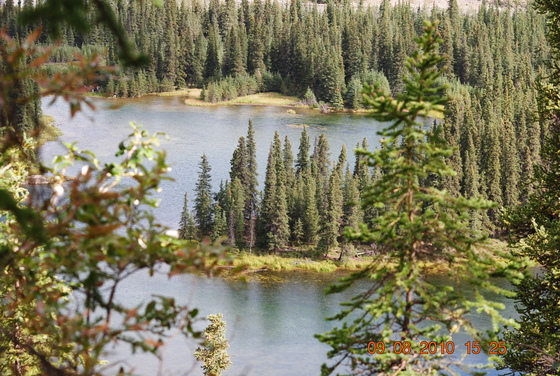 Denali National Park