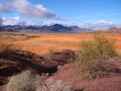Bill Williams River National Wildlife Refuge