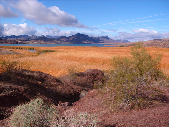 Bill Williams River National Wildlife Refuge