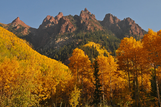 White River Nat'l Forest