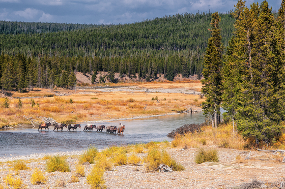 Yellowstone