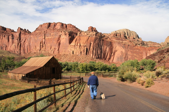 Capitol Reef National Park